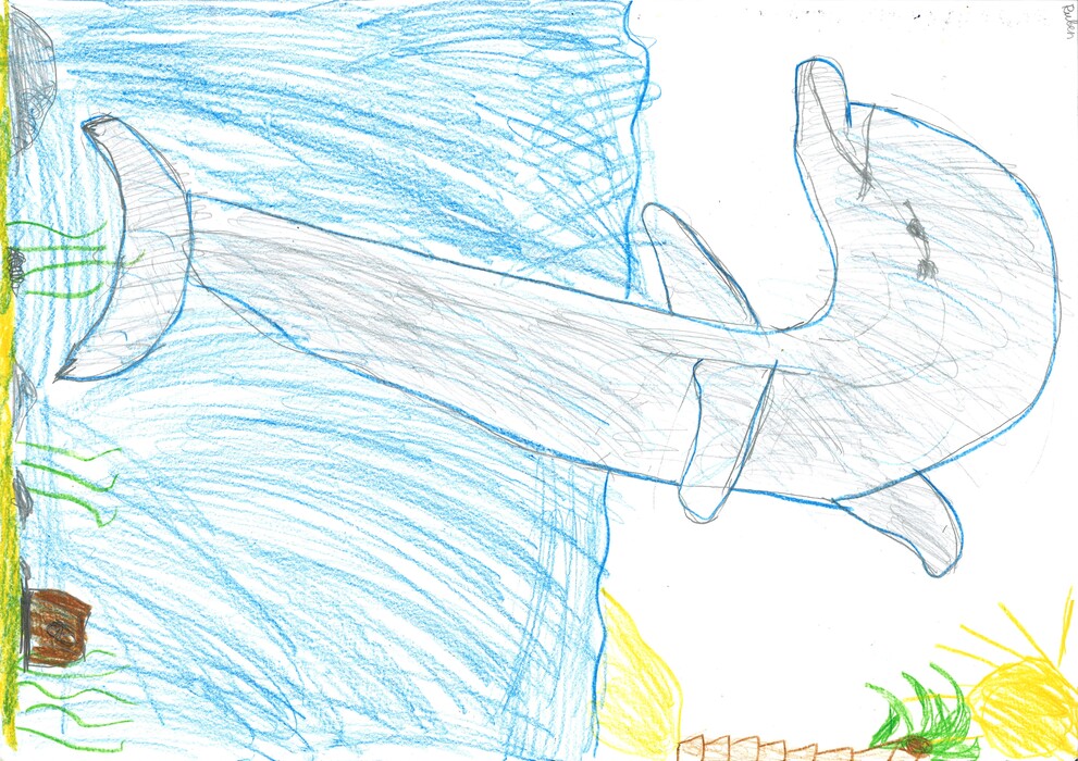 Ruben, 8, Wien